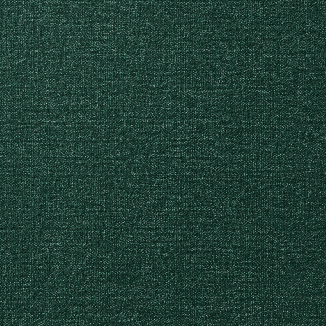 5232 rain forest