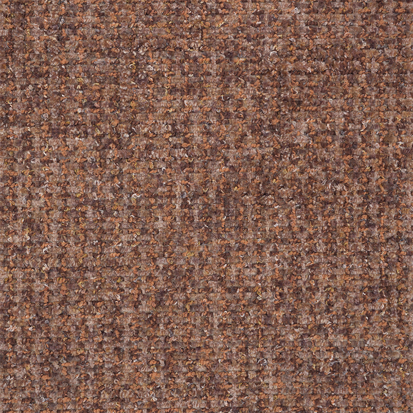 5050 terra