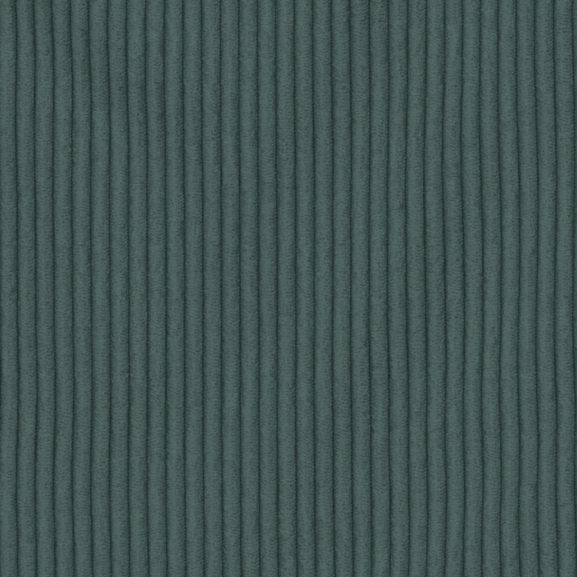 5232 rain forest