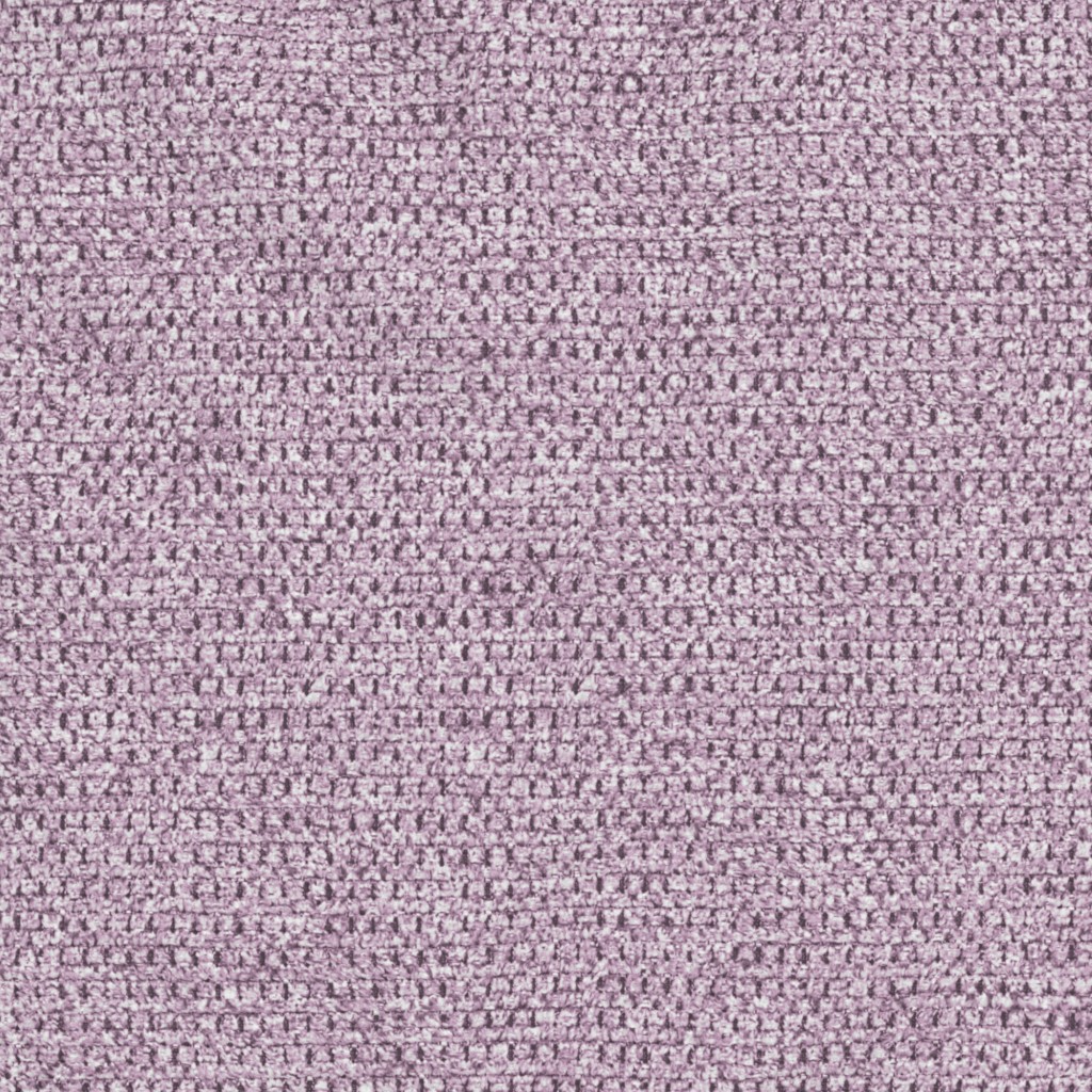 1605 elderberry