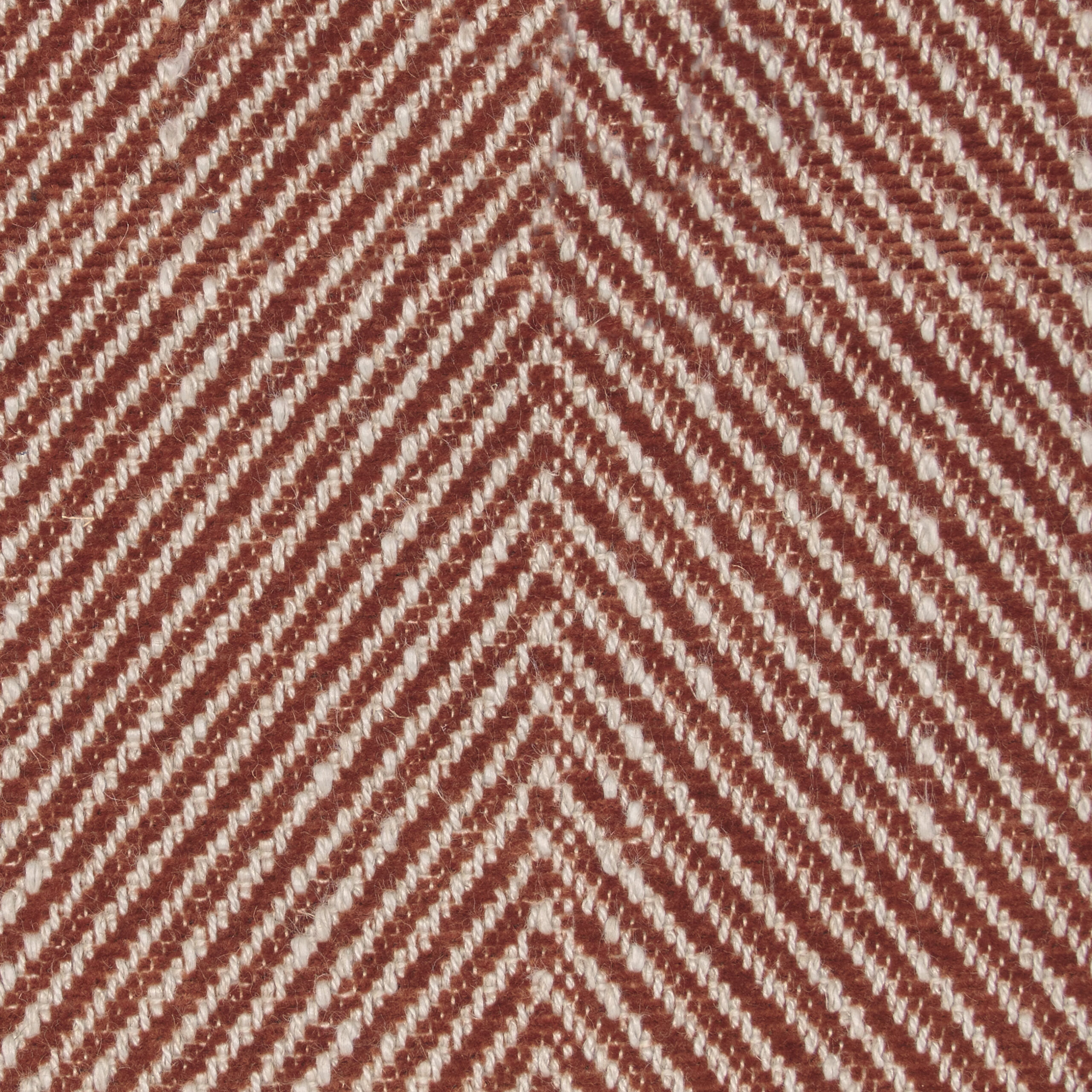 5050 terra
