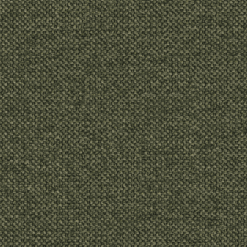0523 winter moss