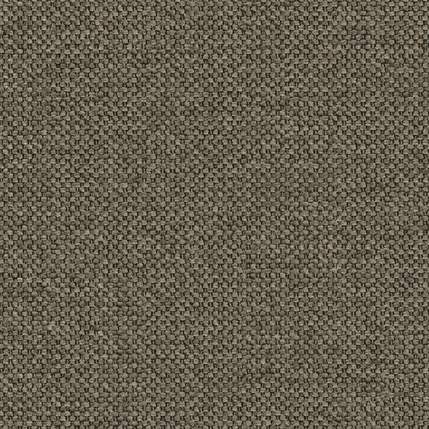 0909 fossil