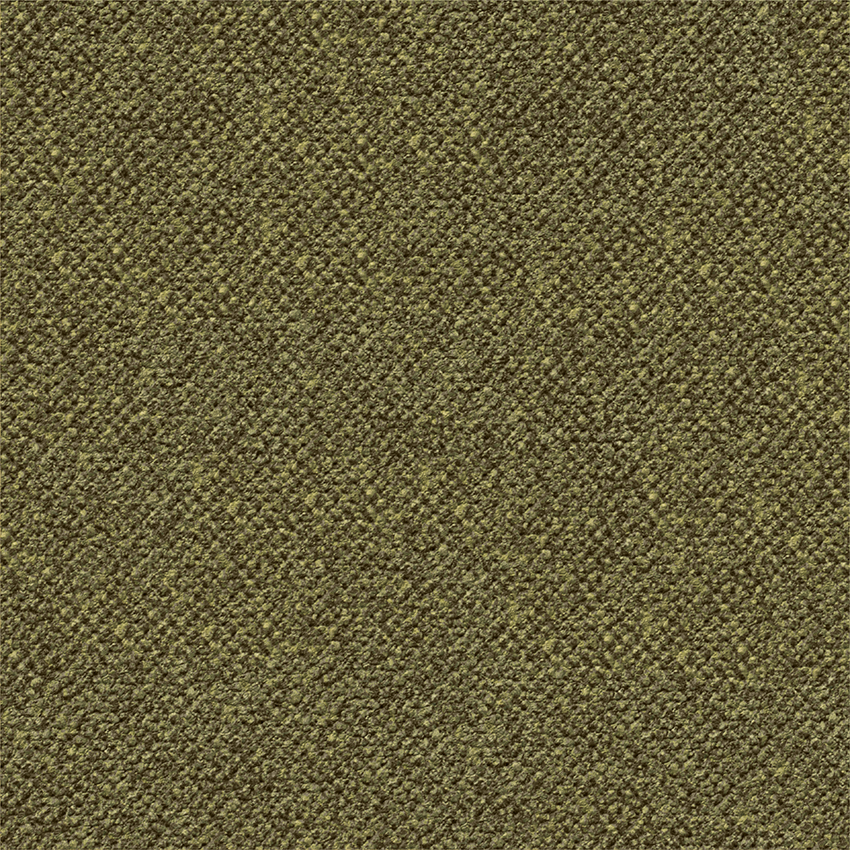 0523 winter moss